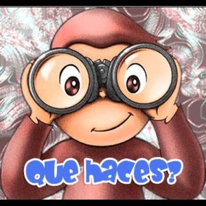 Meet your Posher, Layla